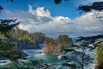 Cape Flattery