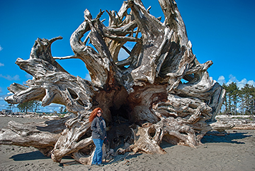 La Push Beach