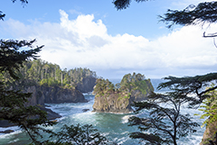 Cape Flattery view