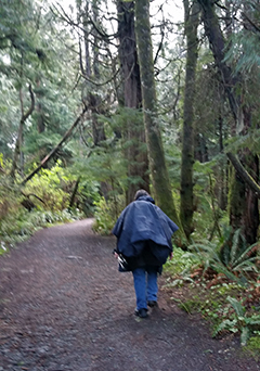 Rainy Trail