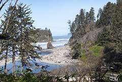 Ruby Beach Overlook