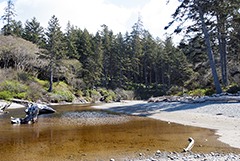 Ruby Beach 2