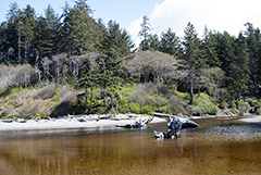 Ruby Beach 1