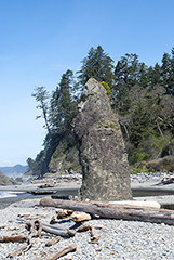 Ruby Beach stack