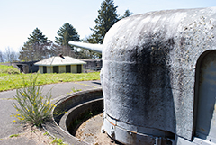 Fort Columbia gun 2