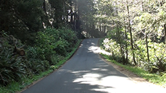 Ecola Drive 1