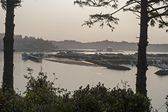 Newport Oregon sunrise