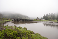 Oregon River