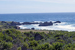 California Coast 8