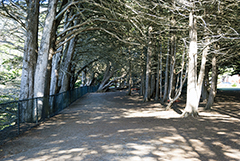 Ragged Point Walkway