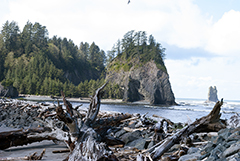 la push 2