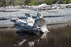 Ruby Beach 3