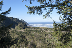 Cape Disappointment 1