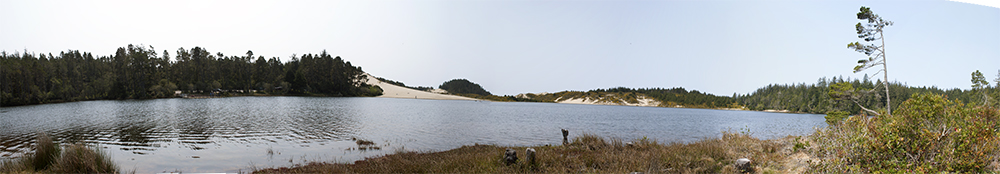 Oregon Dunes Panorama