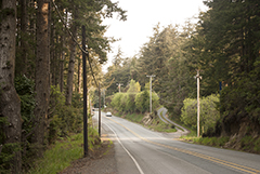 Oregon Roadside