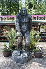 Bigfoot