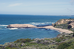 California Coast 5