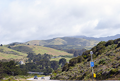 California Hillside